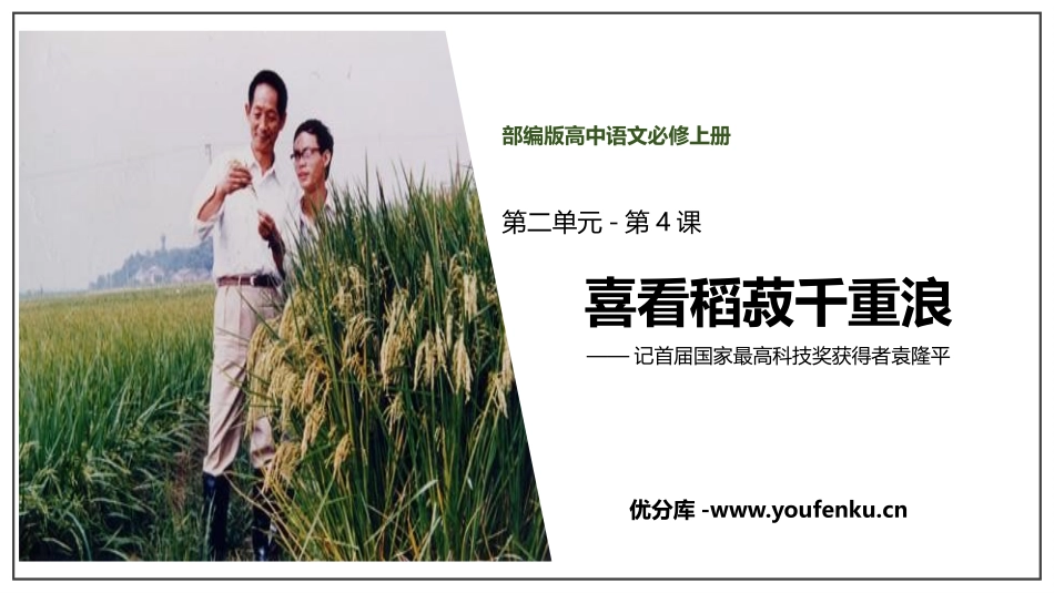 《喜看稻菽千重浪》PPT免费课件[统编版高中语文必修一]_第1页