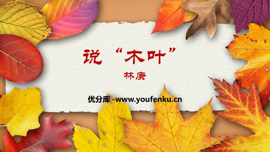 《说“木叶”》PPT教学课件[统编版高中语文必修二]_第1页