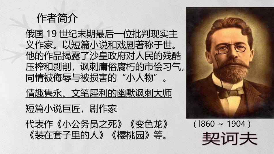 《装在套子里的人》PPT课件[统编版高中语文必修二]_第3页