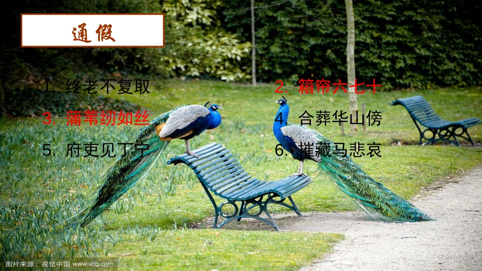 《孔雀东南飞》PPT课件[统编版高中语文下册]_第2页
