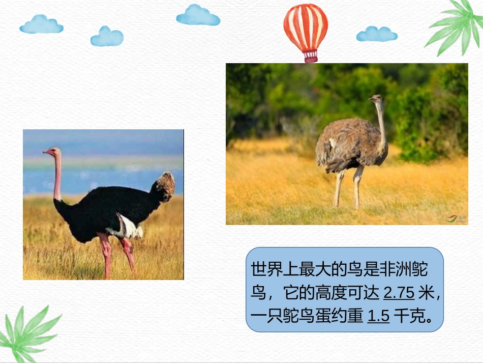 《认识小数》小数的初步认识PPT优秀课件[人教版三年级数学]_第3页