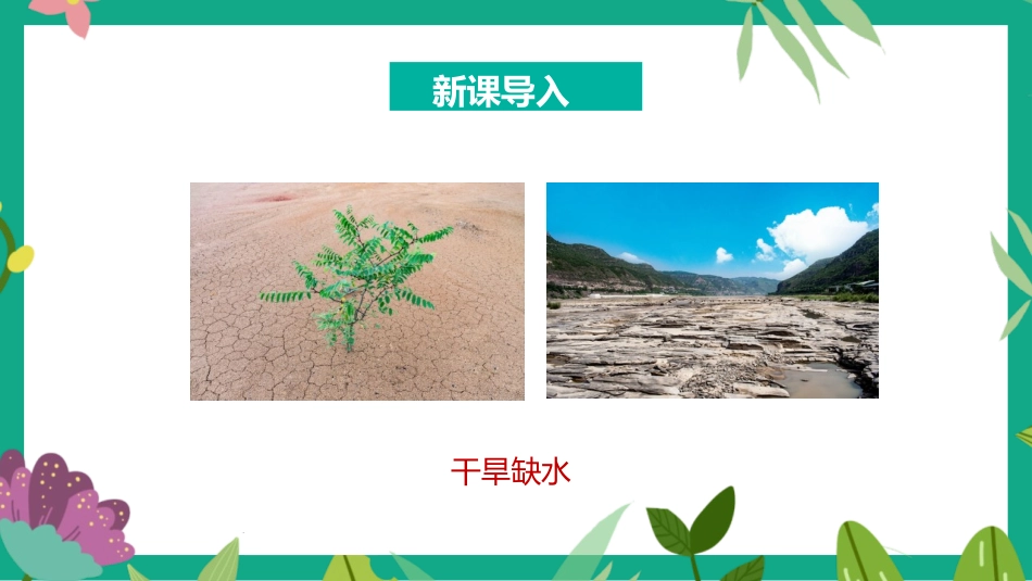 《从数据谈节水》数据的收集、整理与描述PPT教学课件_第2页