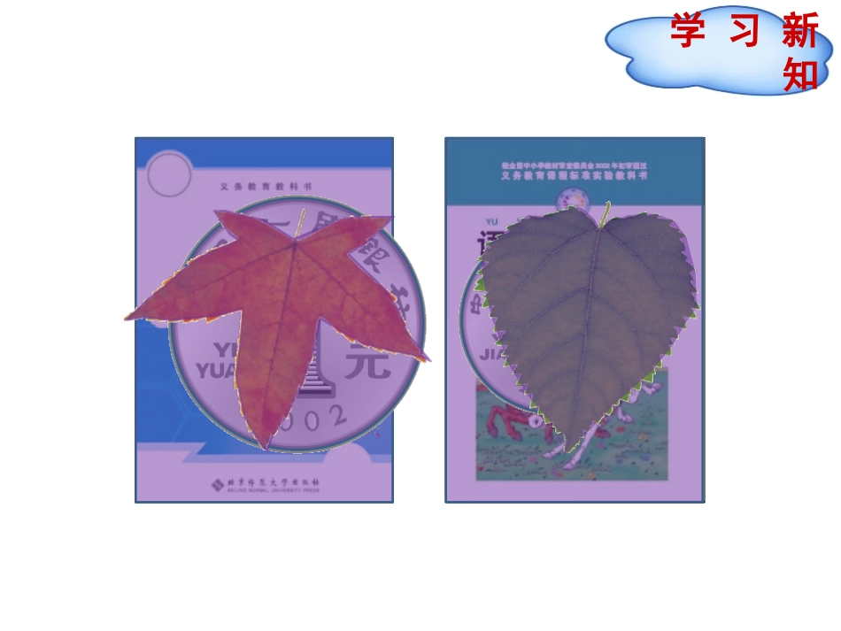 《什么是面积》面积PPT课件[北师大版三年级数学下册]_第3页