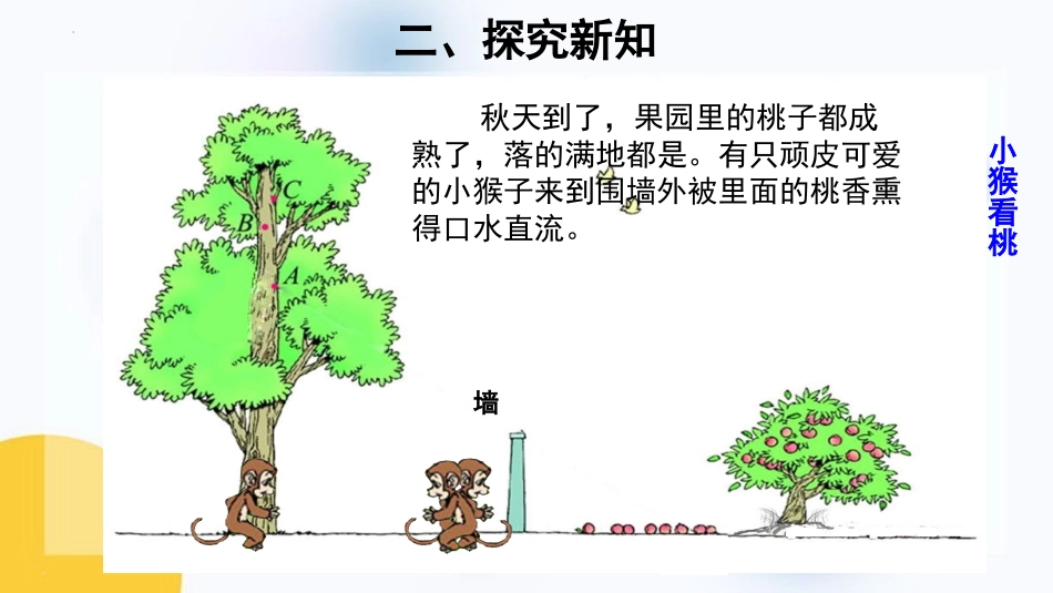 《观察的范围》观察物体PPT免费课件[北师大版六年级数学]_第3页