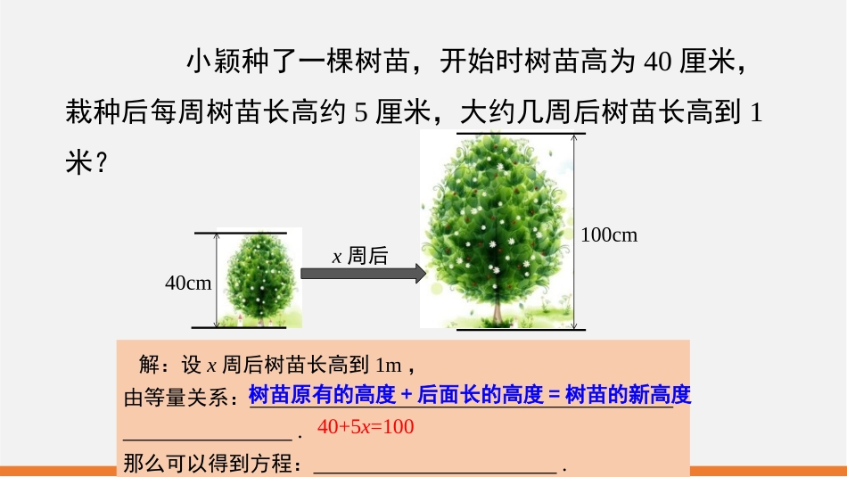 《认识一元一次方程》一元一次方程PPT免费课件_第3页
