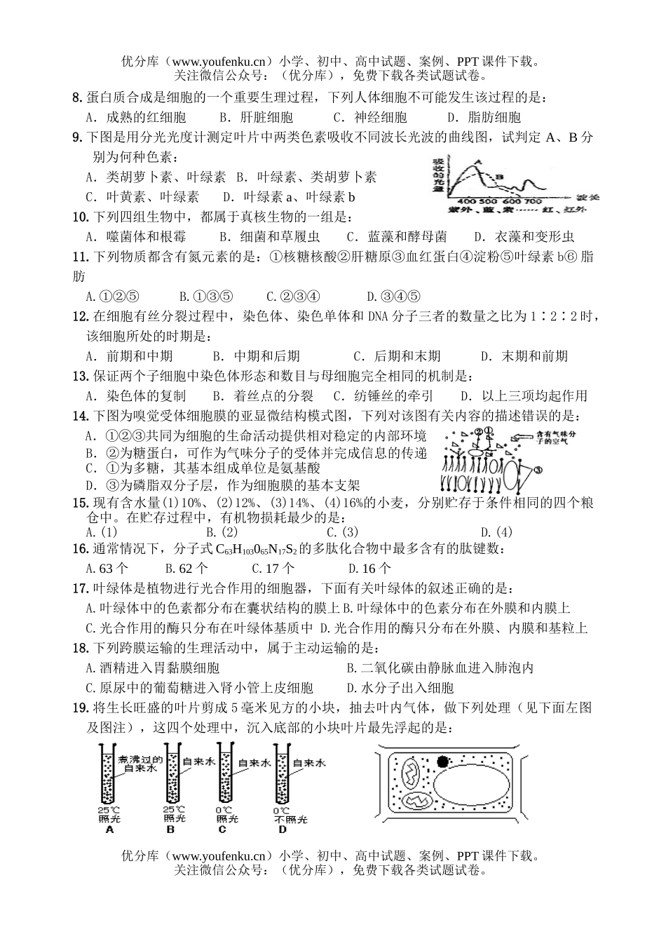 高中二年级生物上学期联考试卷_第2页