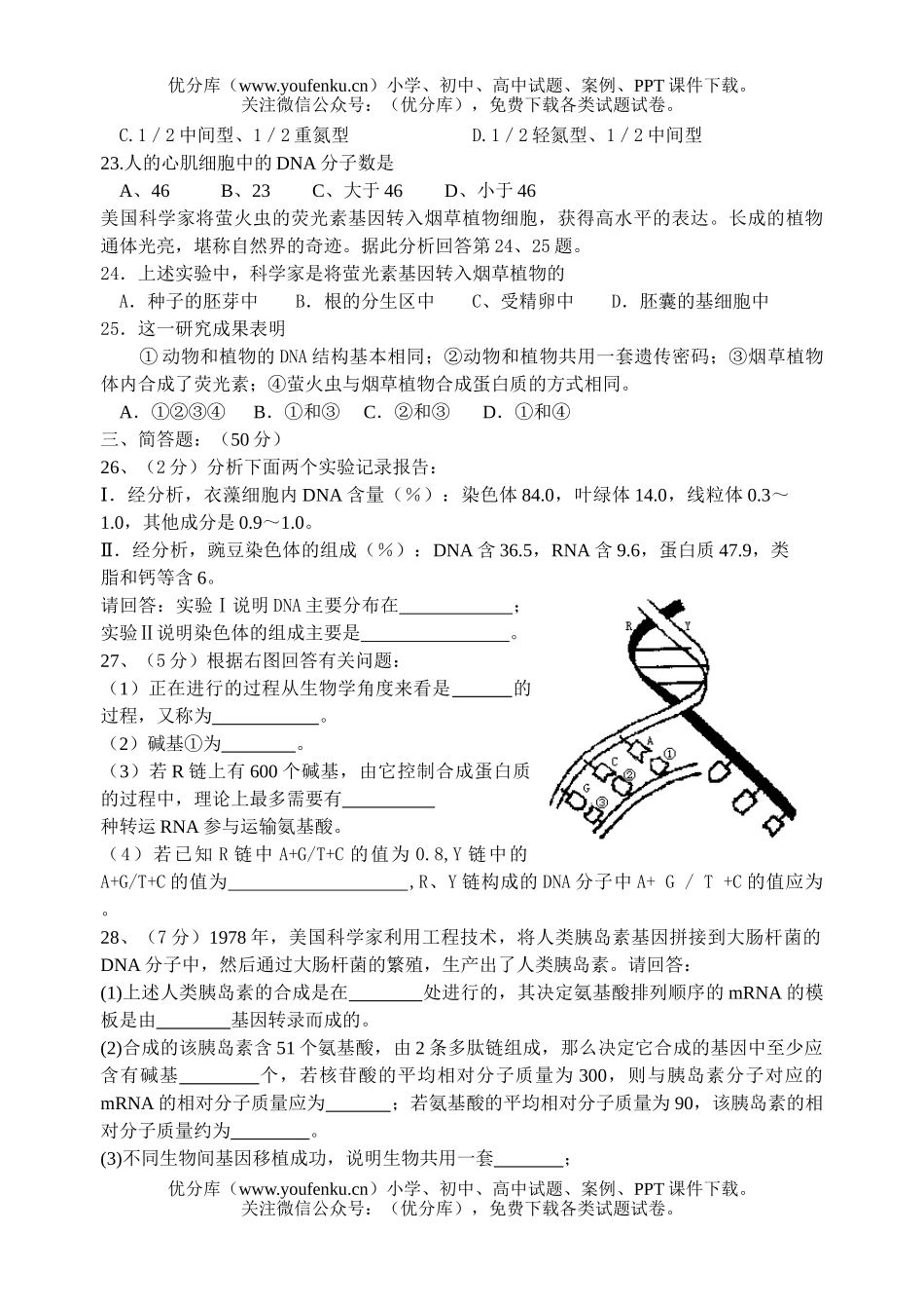 高中二年级生物遗传的物质基础测试卷_第3页