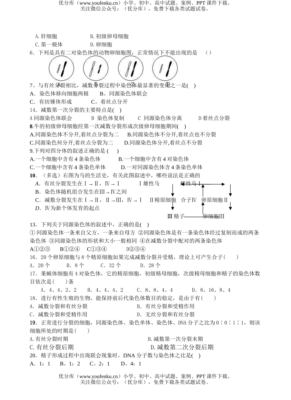 高中二年级生物基因与染色体的关系测试卷_第2页