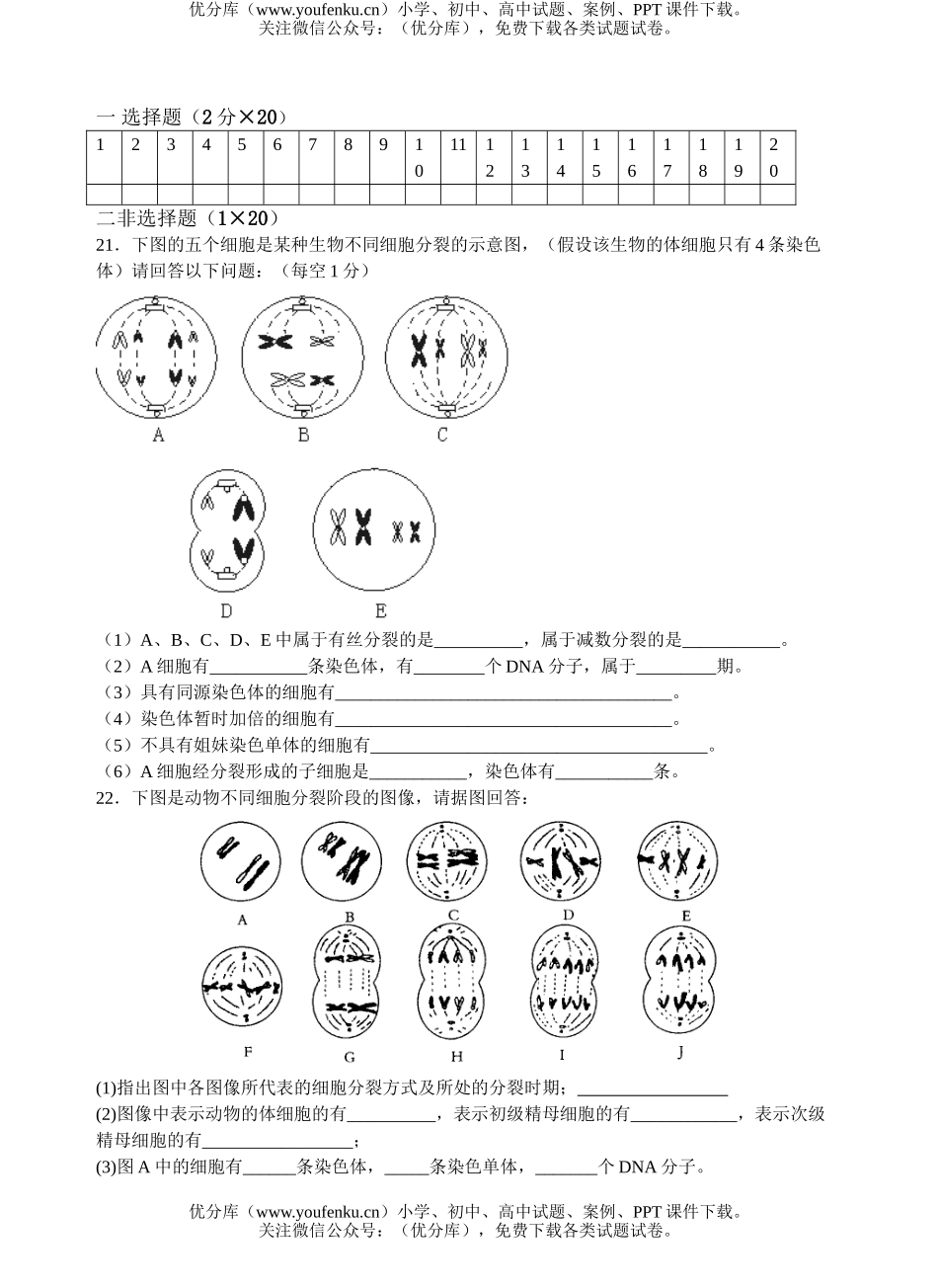 高中二年级生物基因与染色体的关系测试卷_第3页
