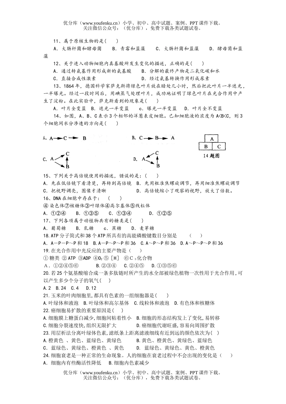 高中二年级生物第一学期期中1试卷_第1页