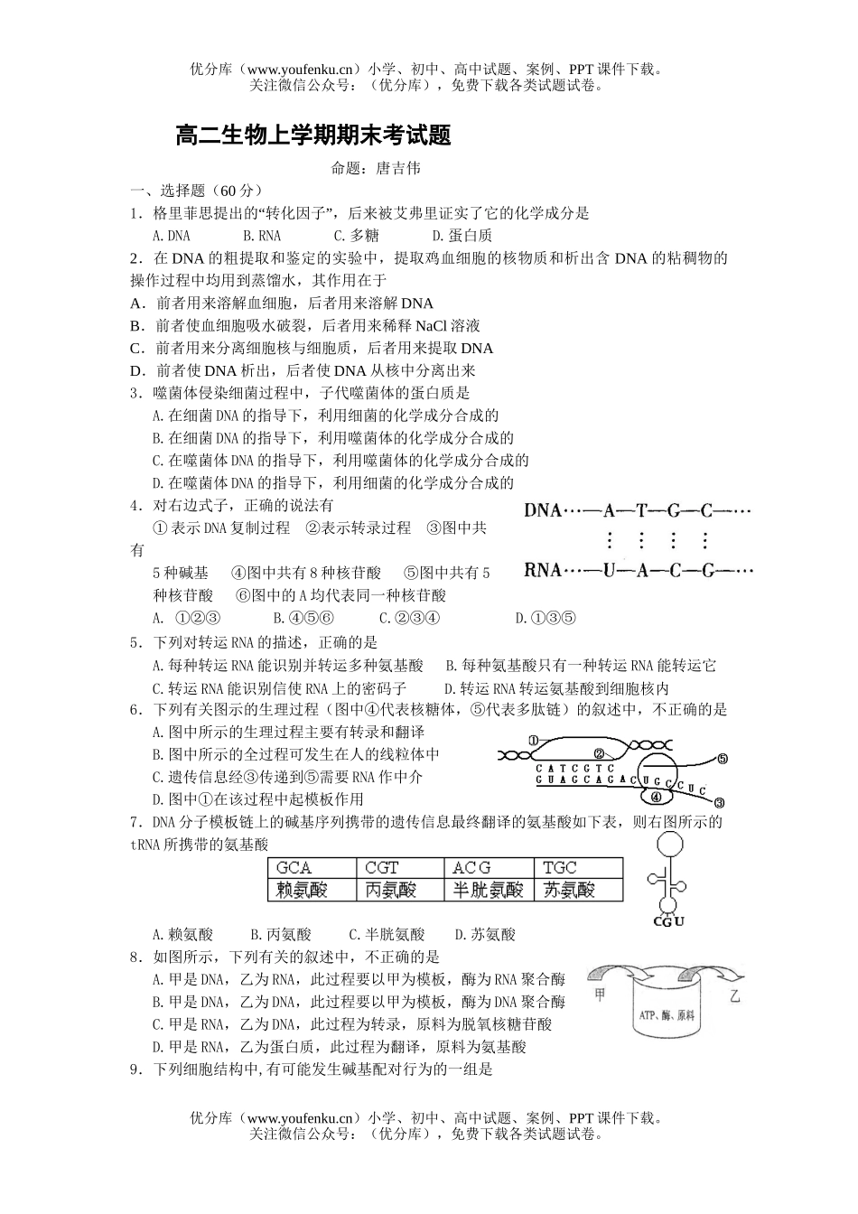 高中二年级生物上学期期末考试卷_第1页