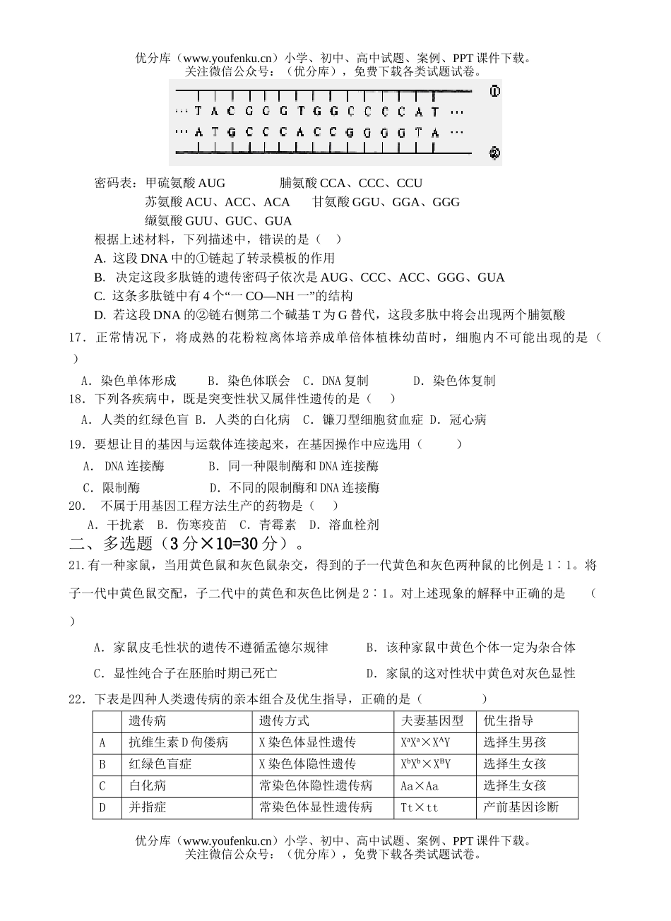 高中二年级生物遗传与进化复习训练题试卷_第2页