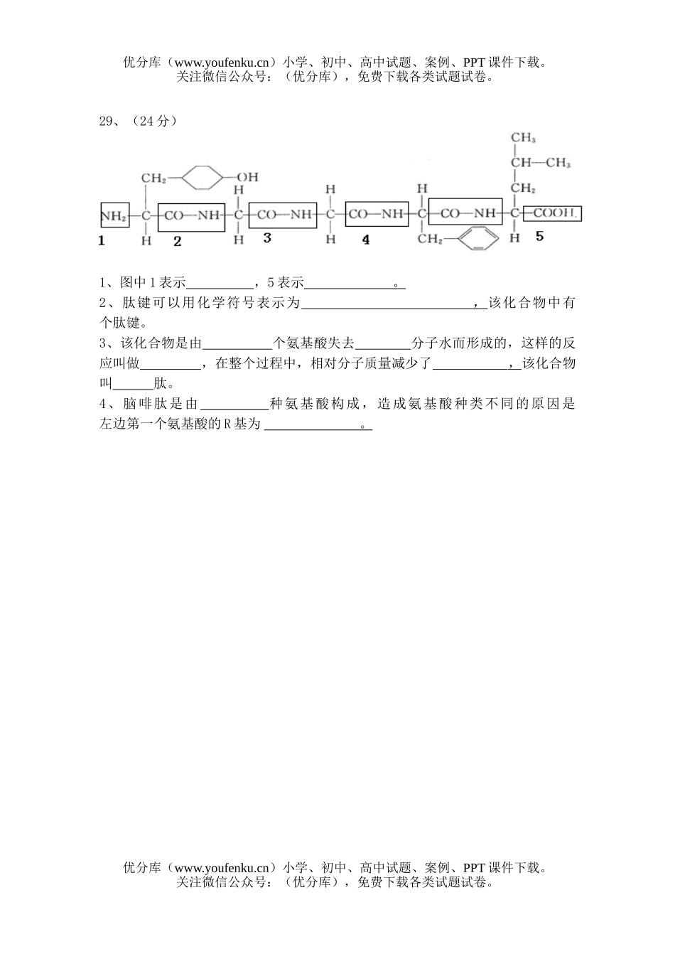 高中二年级生物绪论、生命物质基础测试2试卷_第2页