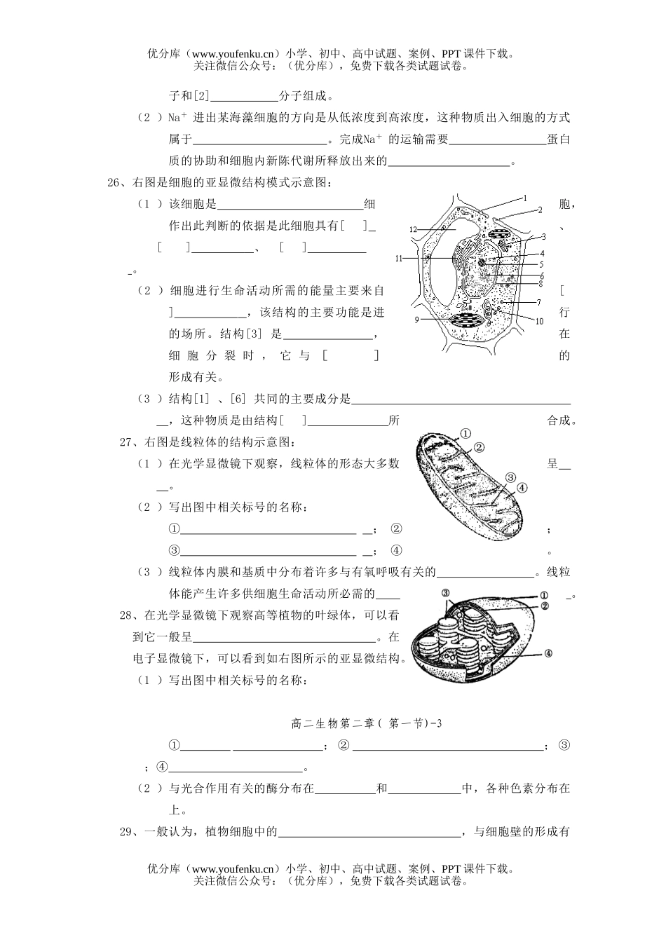 高中二年级生物细胞配套练习试卷_第3页