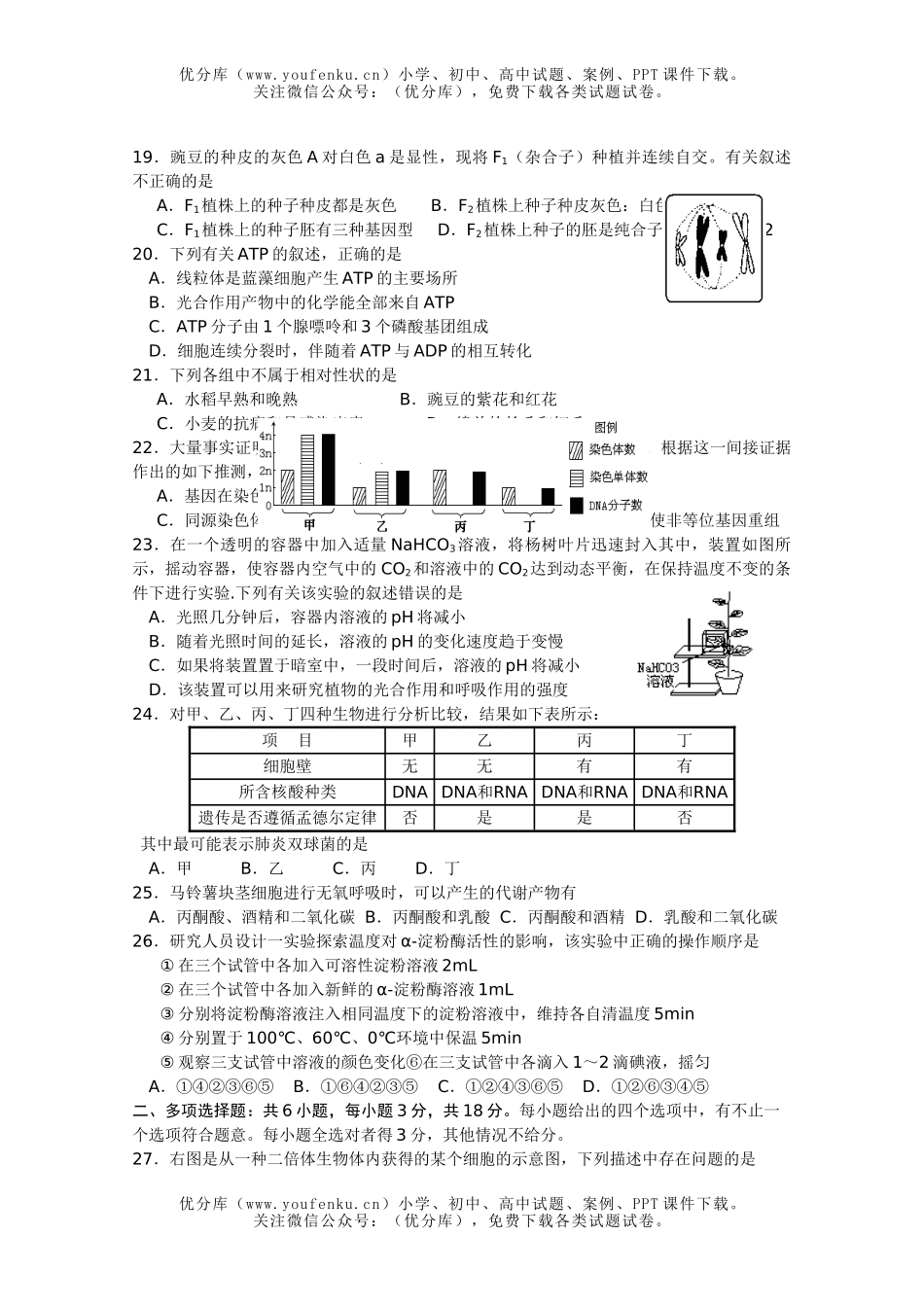 高中二年级生物上学期测试卷_第3页