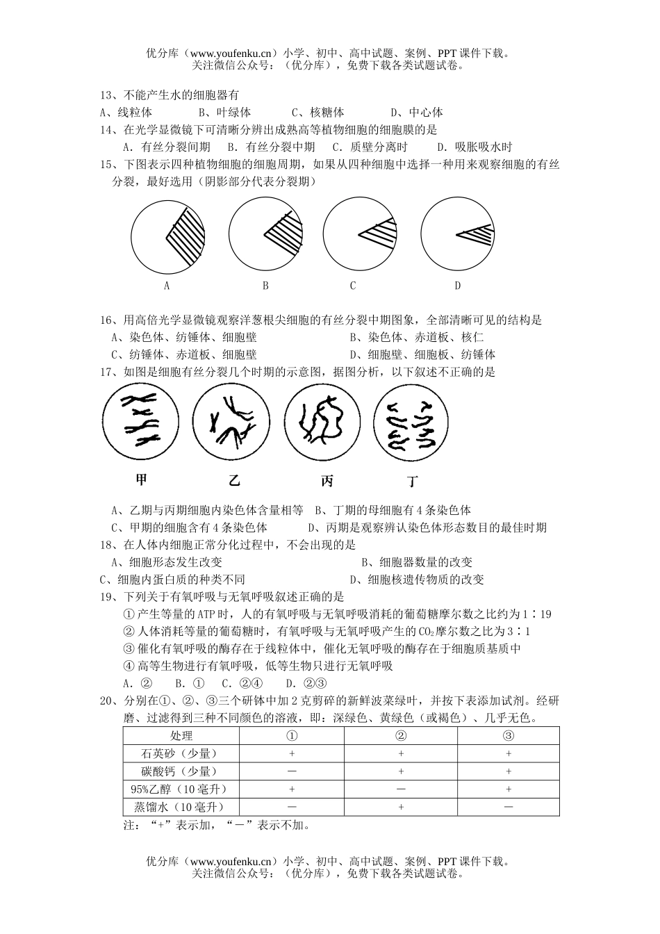 高中二年级生物上学期期末试卷_第2页