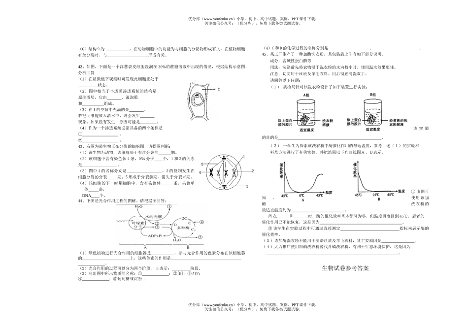 高中二年级生物上册期中考试1试卷_第2页