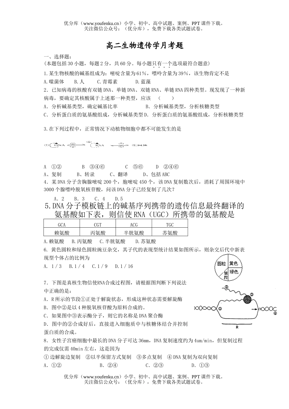 高中二年级生物遗传学月考题试卷_第1页