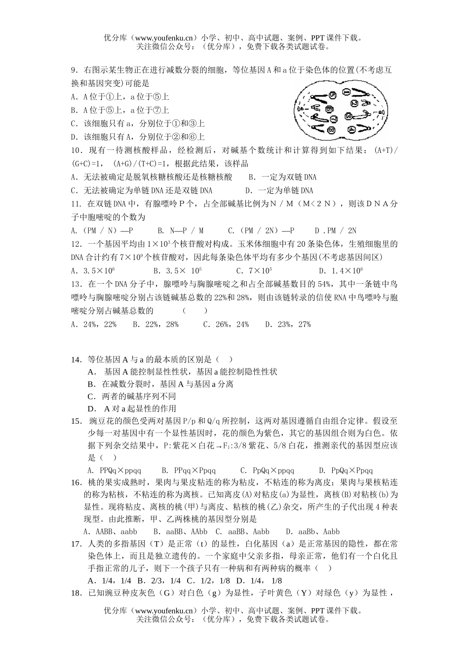 高中二年级生物遗传学月考题试卷_第2页
