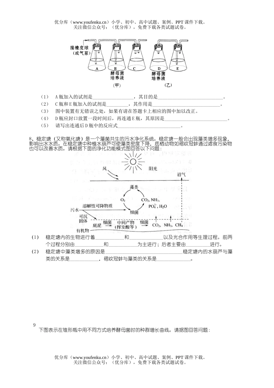 高中二年级生物复习试验题试卷_第2页
