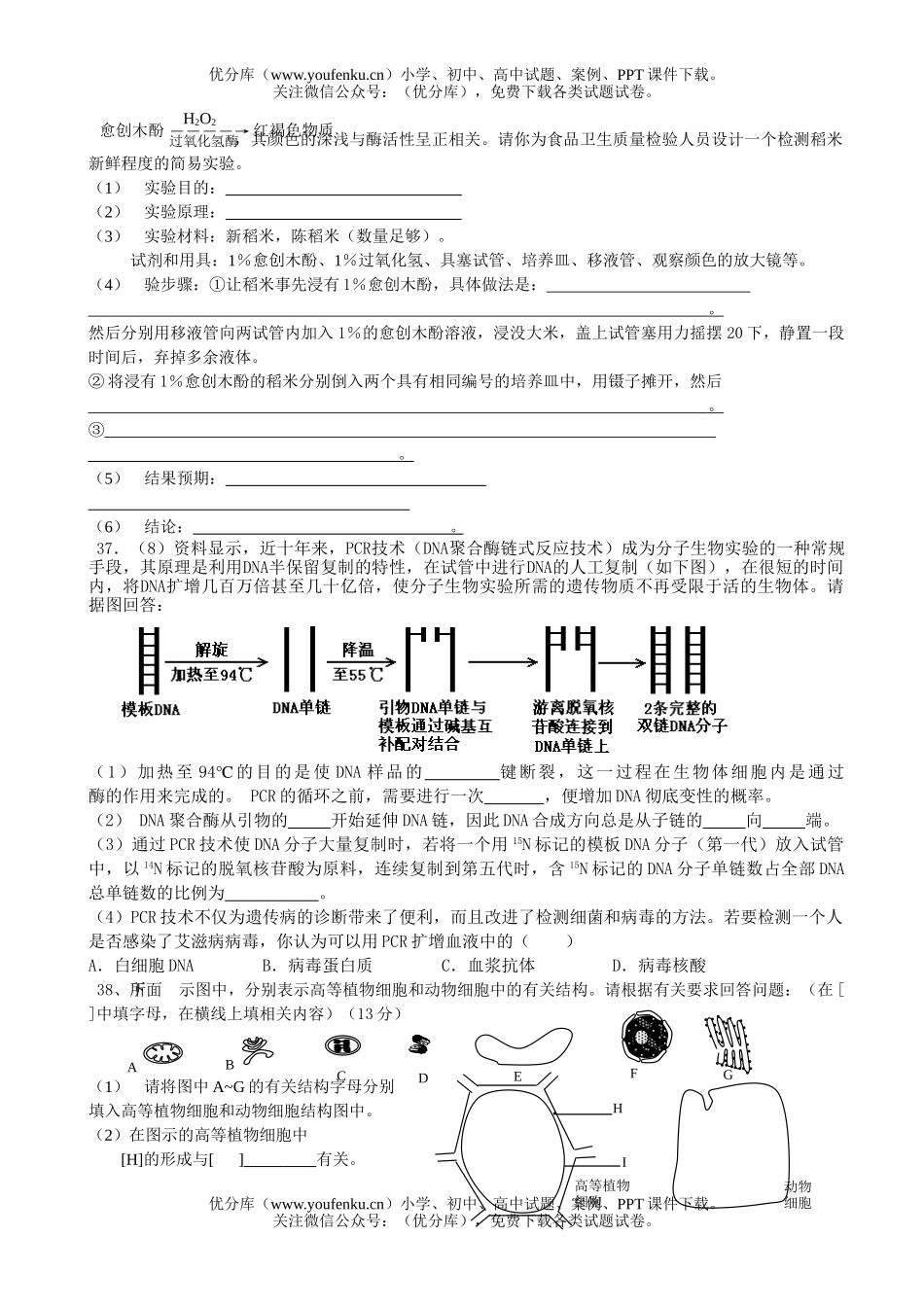 高中二年级生物科下学期期中试卷_第3页