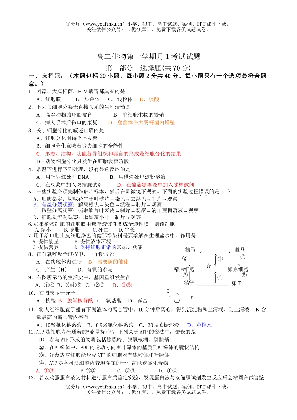 高中二年级生物第一学期月1考试卷_第1页