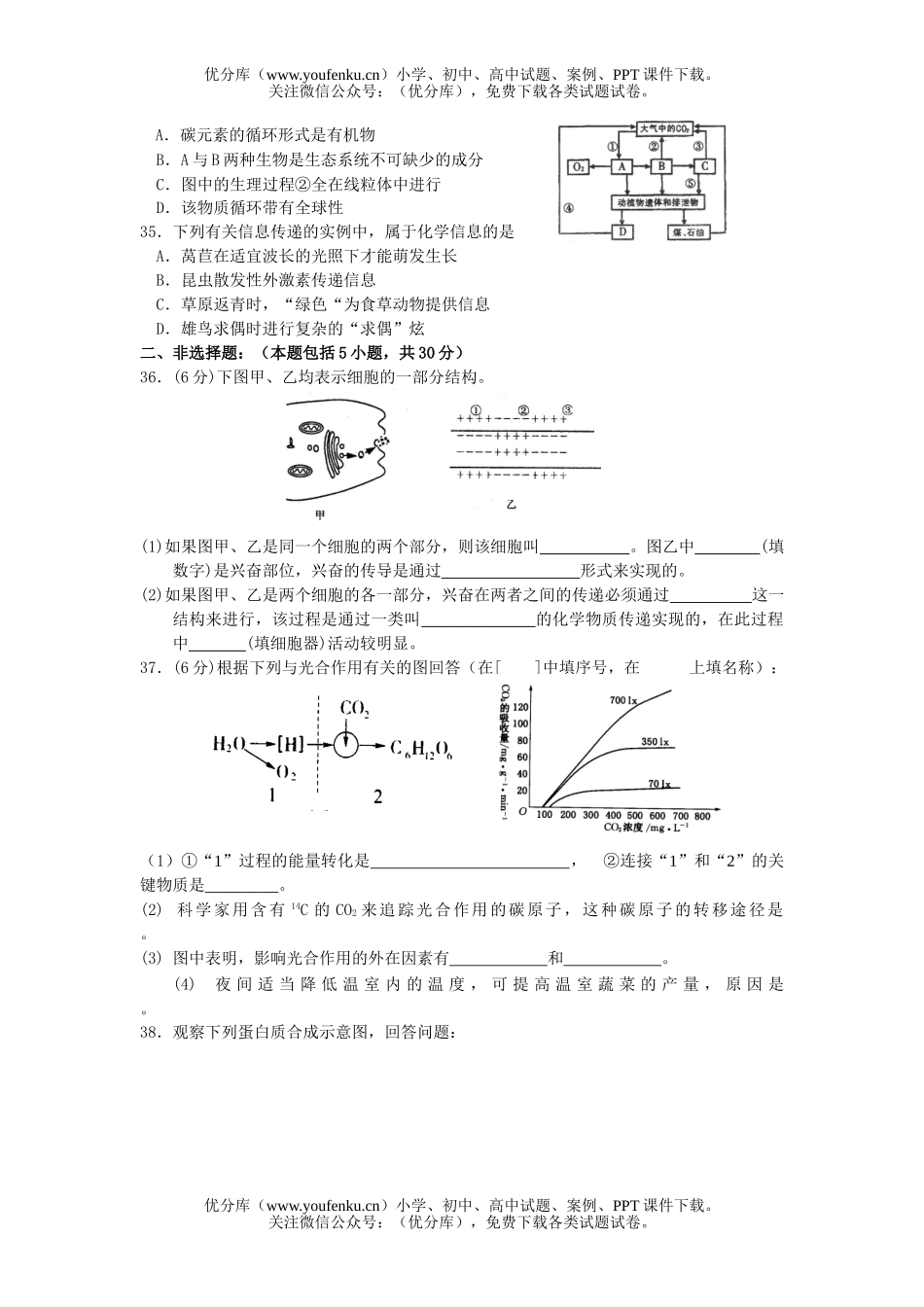 高中二年级生物遗传与进化重点知识试卷_第3页