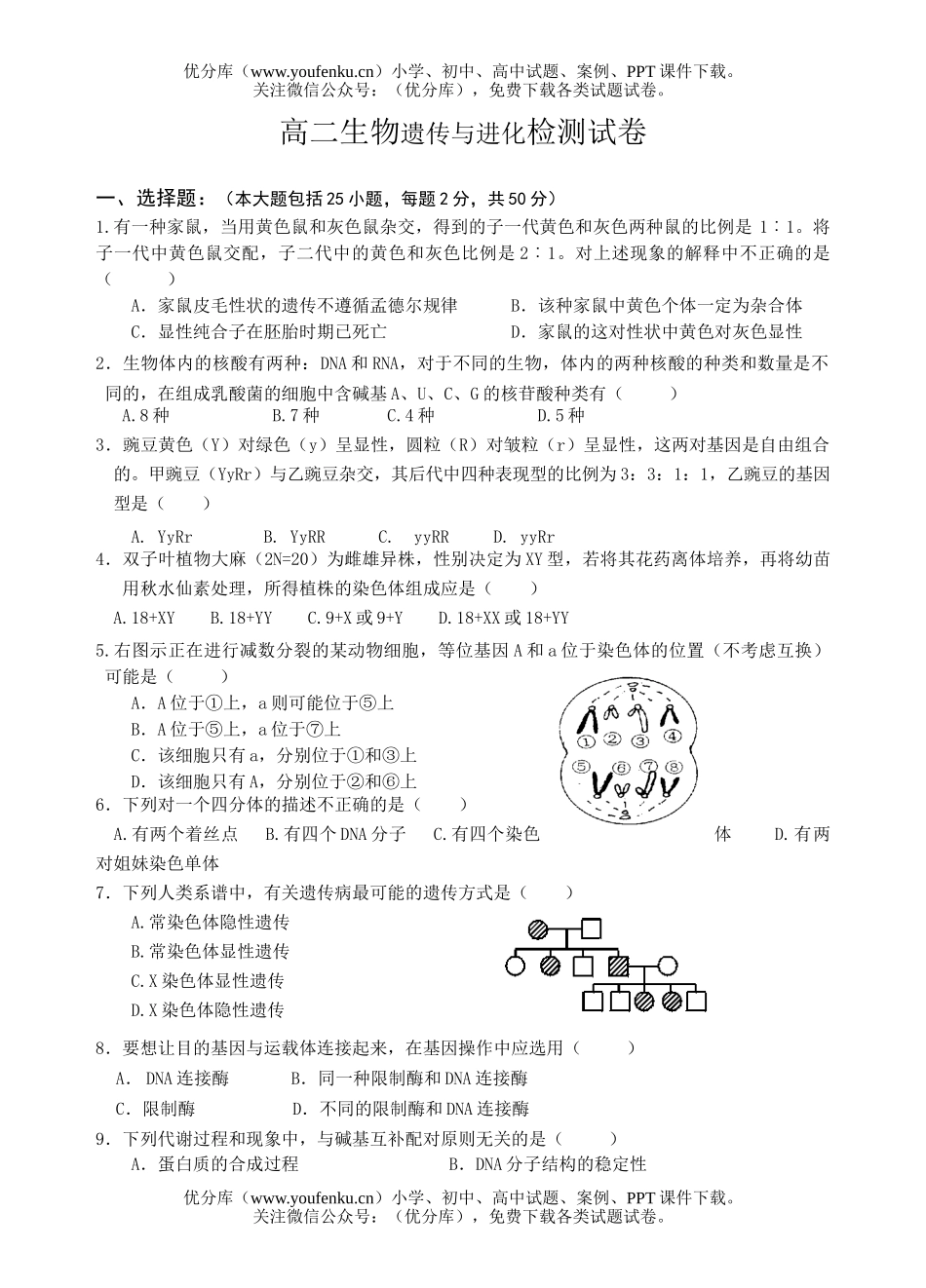 高中二年级生物遗传与进化检测试卷_第1页
