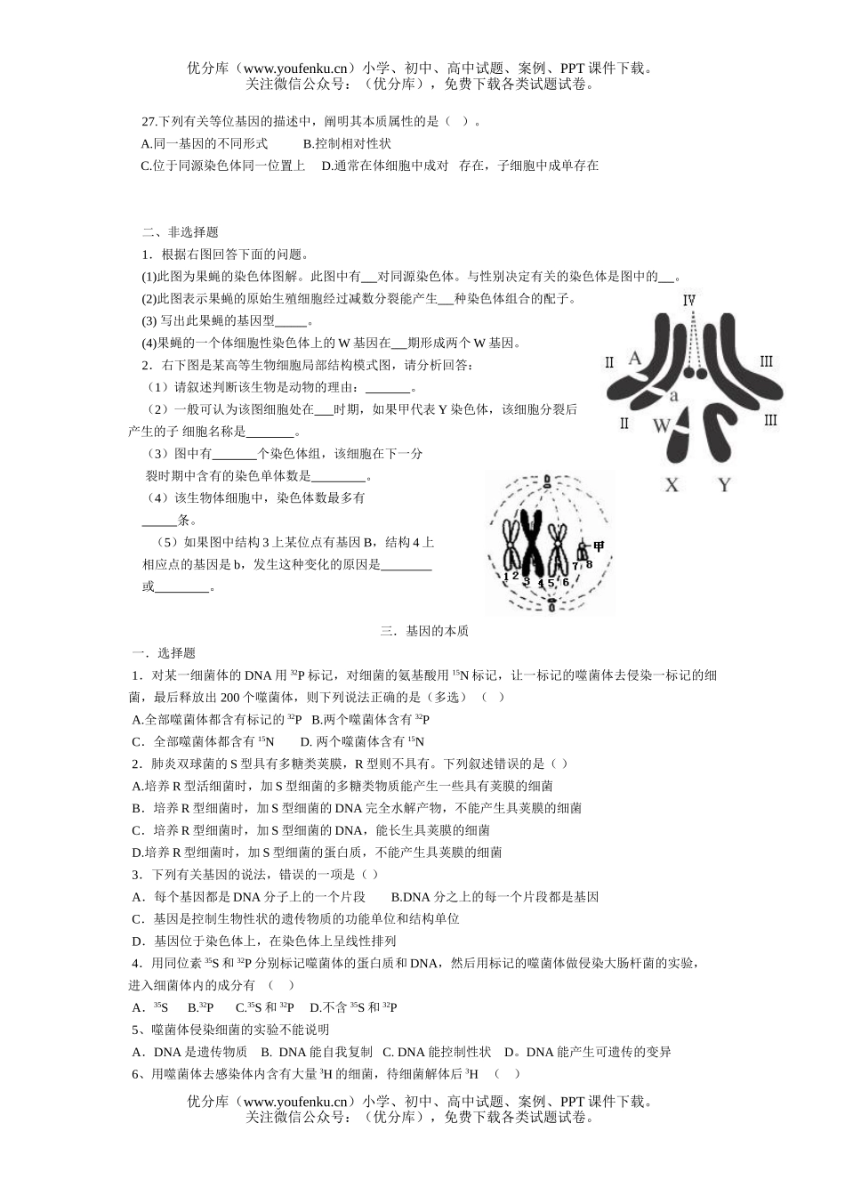 高中二年级生物遗传与进化全册总复习试卷_第3页