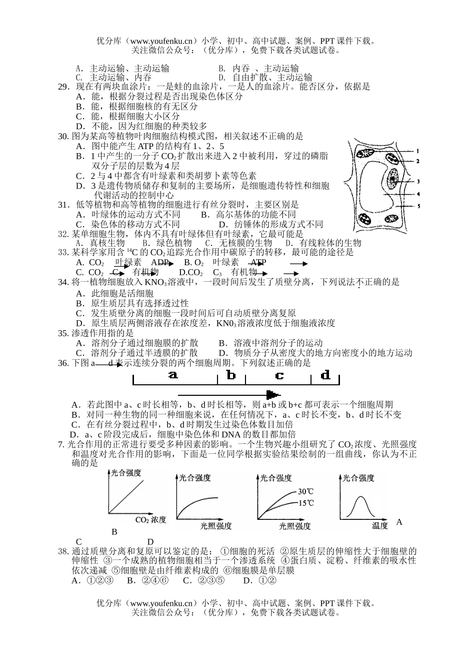 高中二年级生物高第一学期期中1试卷_第3页