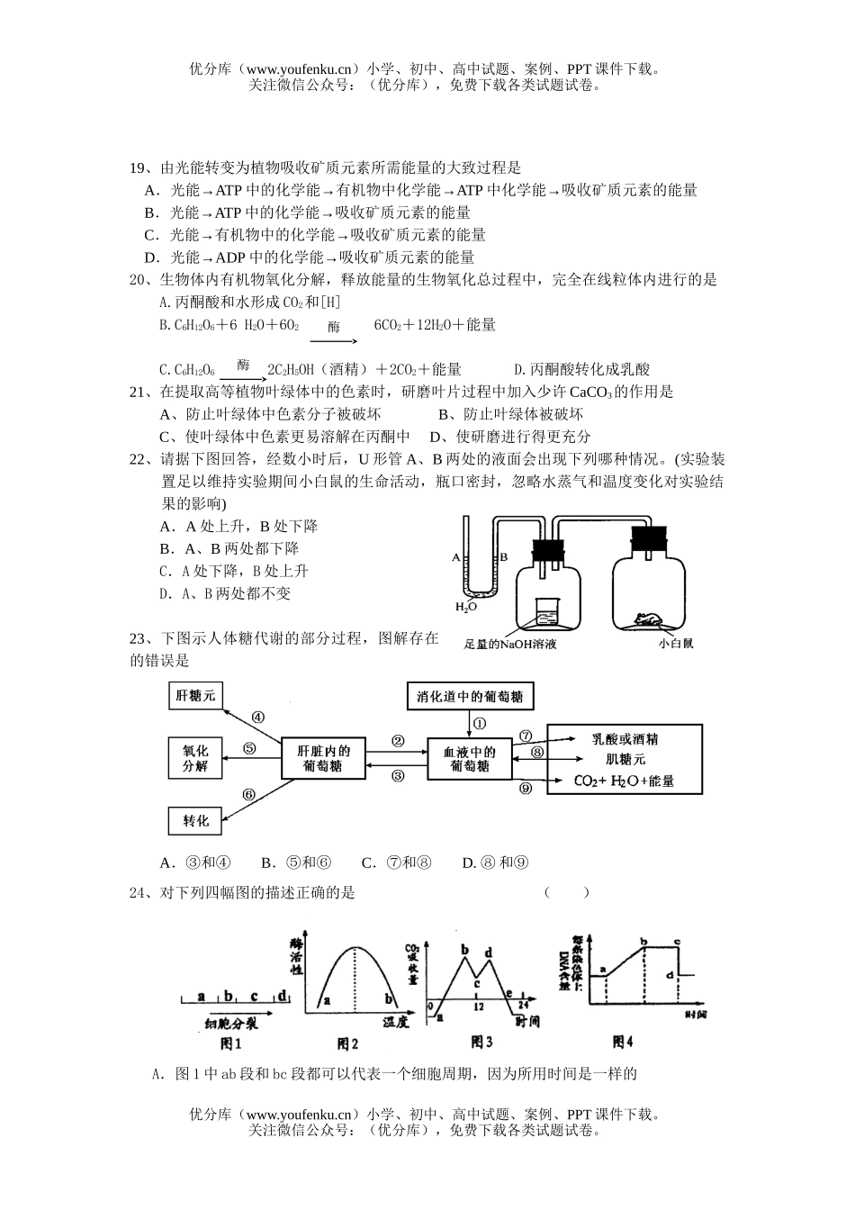 高中二年级生物上学期第Ⅱ次月考试卷_第3页