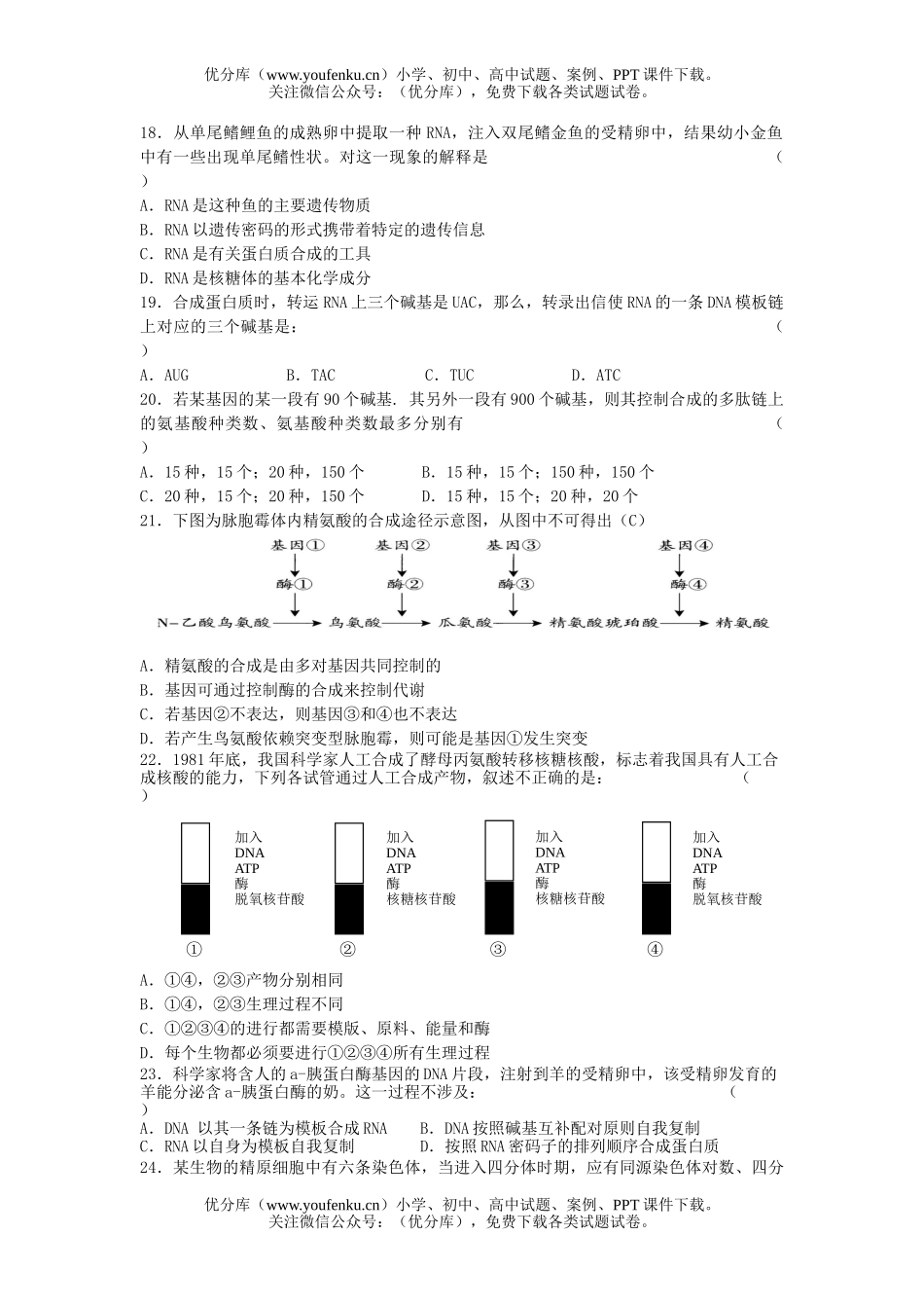 高中二年级生物下册复习训练题试卷_第3页
