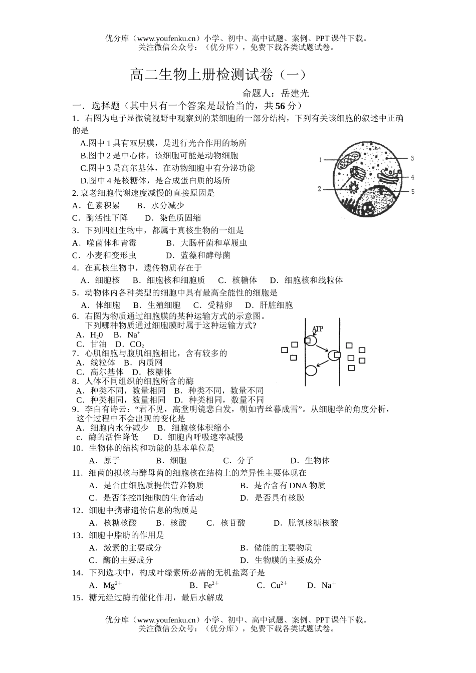 高中二年级生物上册检测1试卷_第1页