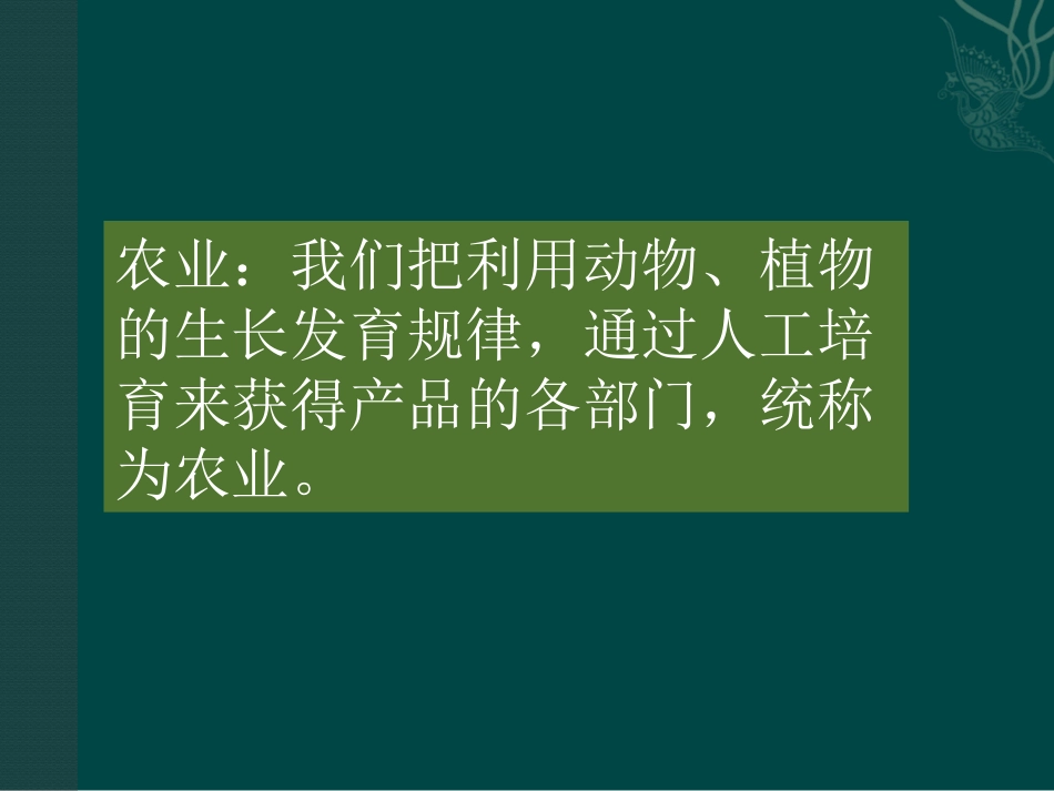 《农业》中国的经济发展PPT课件[人教版八年级地理上册]_第2页