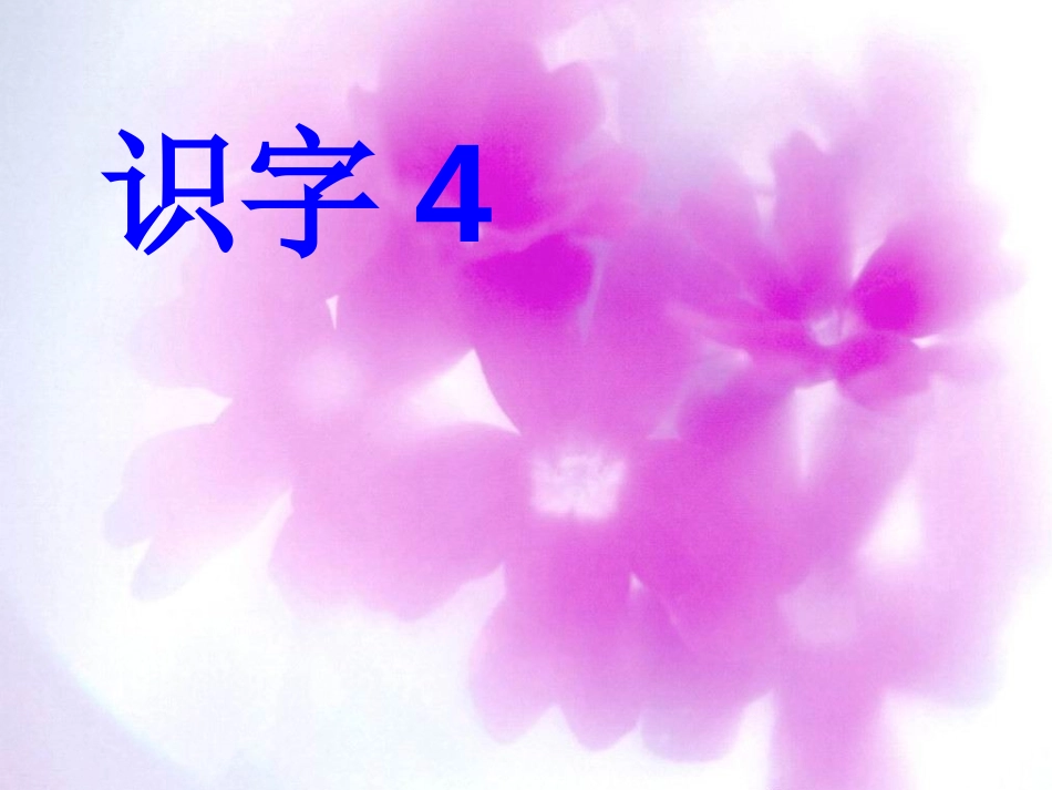 部编版一年级语文识字4PPT课件_第1页