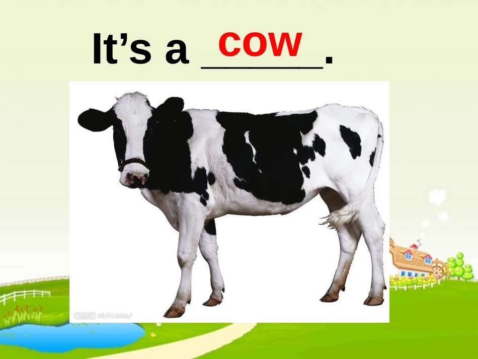 《They're cows》PPT课件[外研版一年级英语]_第2页