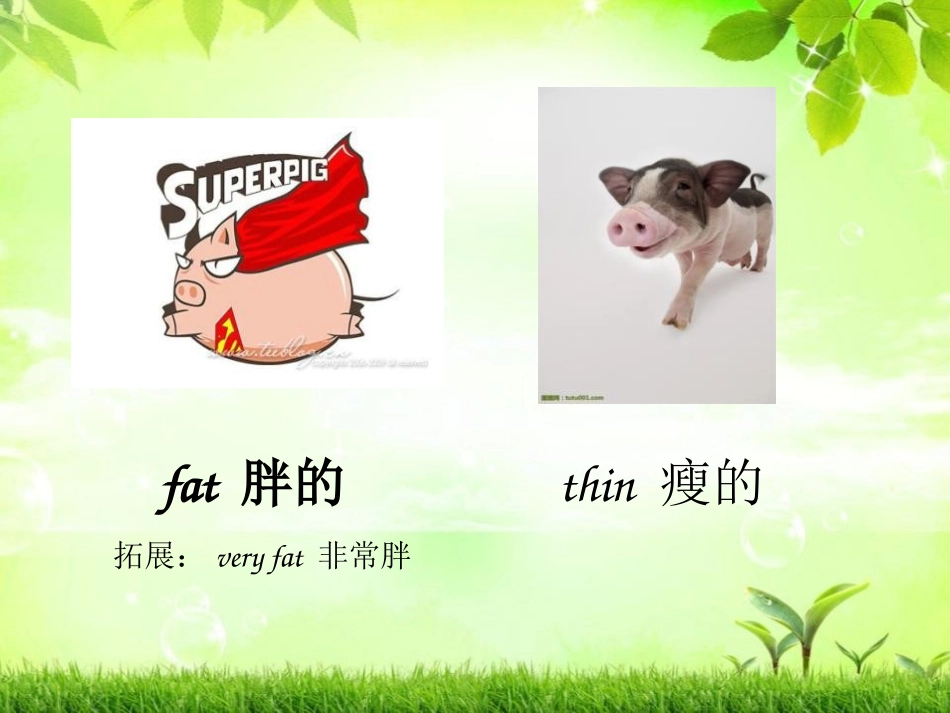 《It's thin》PPT课件[外研版一年级英语下册]_第2页