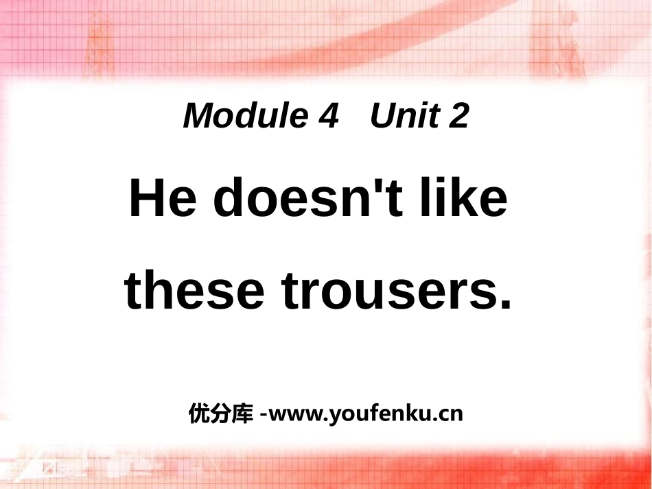 《He doesn't like these trousers》PPT课件_第1页