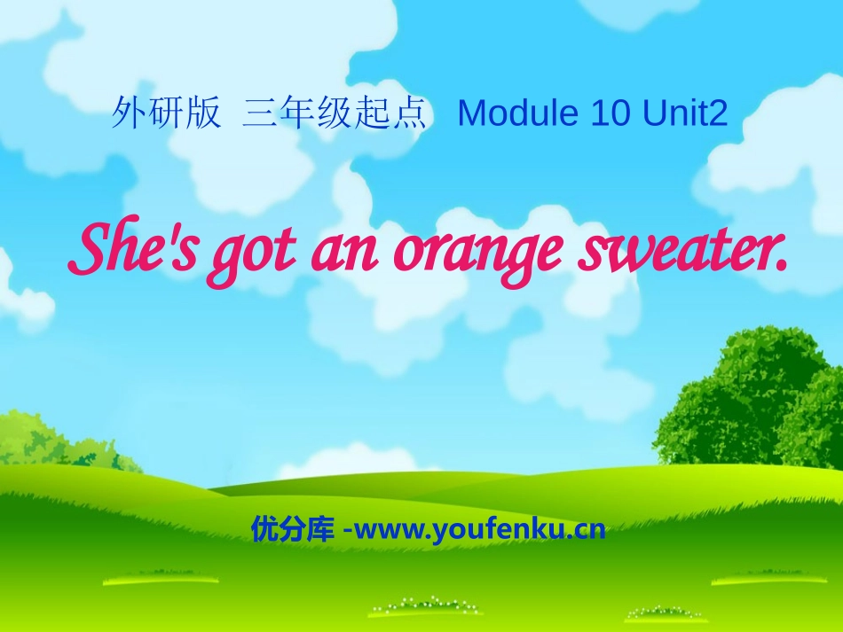 《She's got an orange sweater》PPT课件_第1页