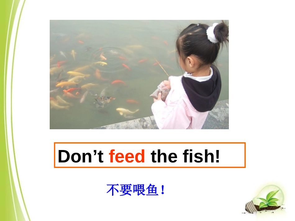 《Don't feed the fish》PPT课件_第3页
