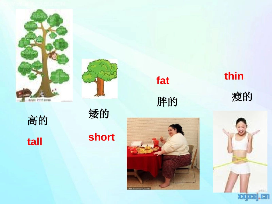 《She's a nice teacher》PPT课件_第2页