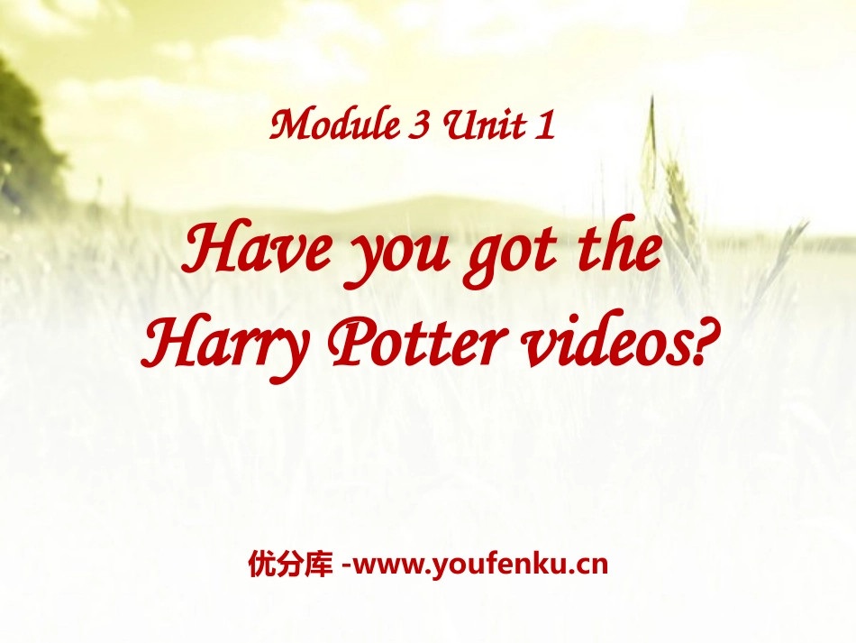 《Have you got the Harry Potter videos?》PPT课件_第1页
