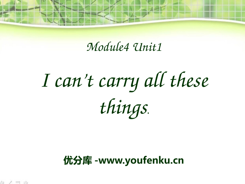 《I can't carry all these things》PPT课件_第1页