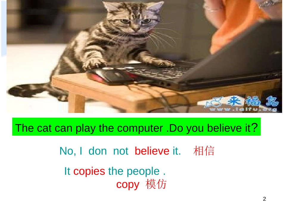 《I don't believe it》PPT课件_第2页