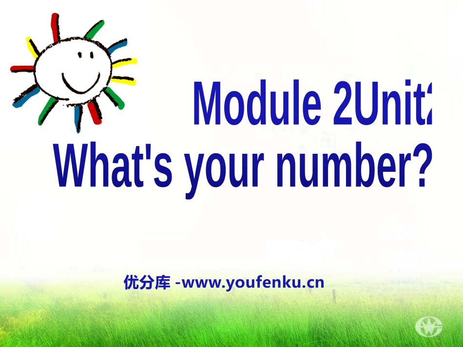 《what's your number?》PPT课件_第1页