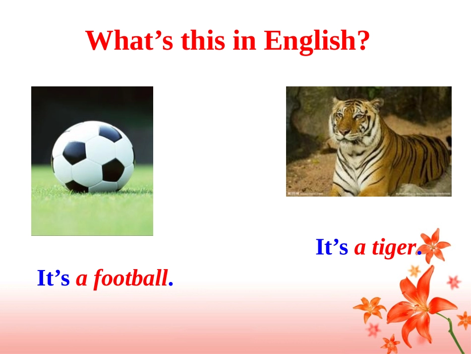 《What's this in English》PPT课件_第3页