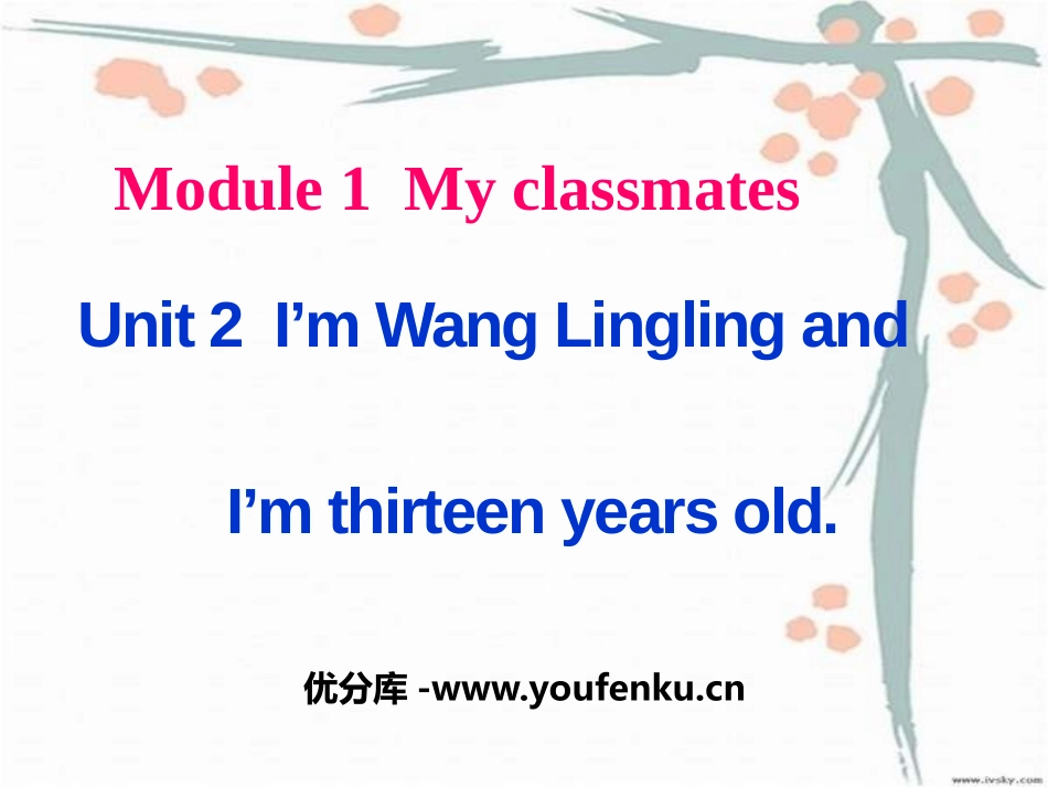 《I'm Wang Lingling and I'm thirteen years old》PPT课件_第1页