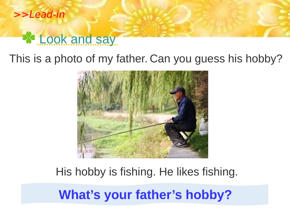 《What's your hobby?》PPT课件_第2页
