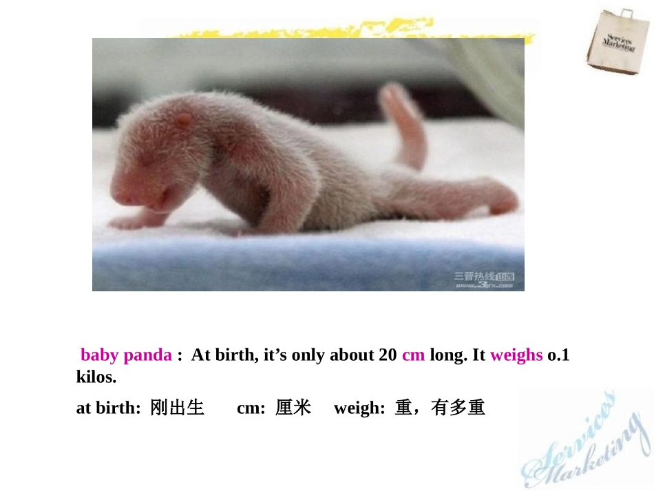 《What's the highest mountain in the world?》PPT课件_第3页