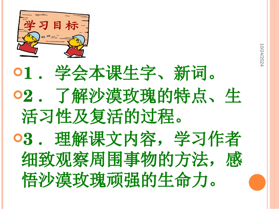 《沙漠玫瑰》PPT课件[西师大版六年级语文上册]_第3页